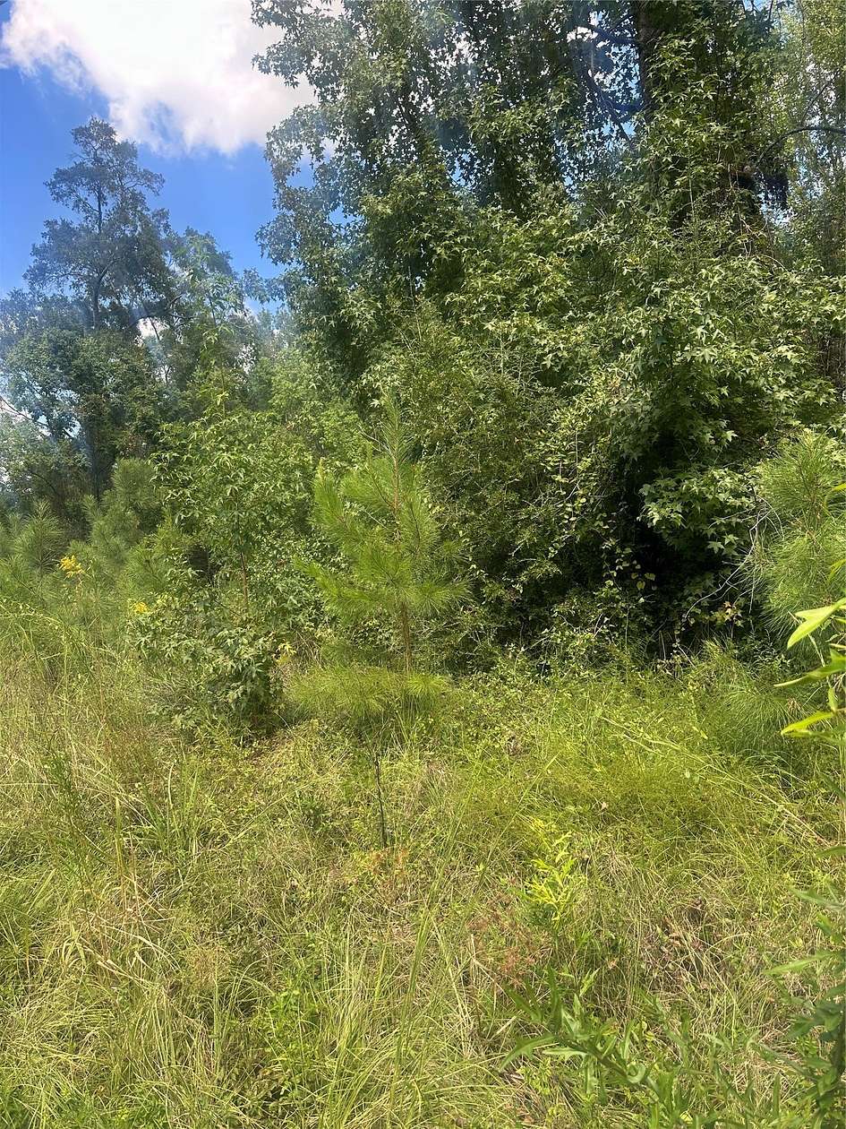 9 Acres of Residential Land for Sale in Jonesboro, Louisiana