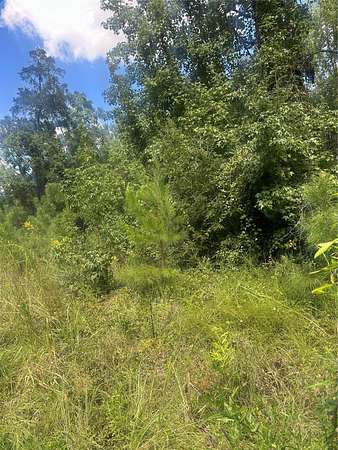 9 Acres of Residential Land for Sale in Jonesboro, Louisiana