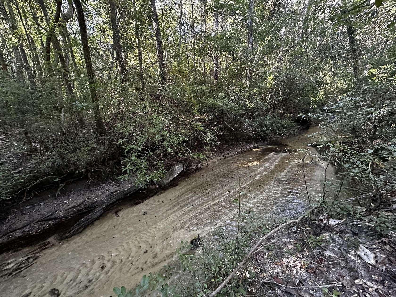 11.4 Acres of Recreational Land for Sale in Baker, Florida