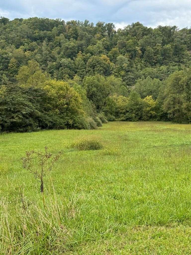 1.39 Acres of Residential Land for Sale in Harold, Kentucky