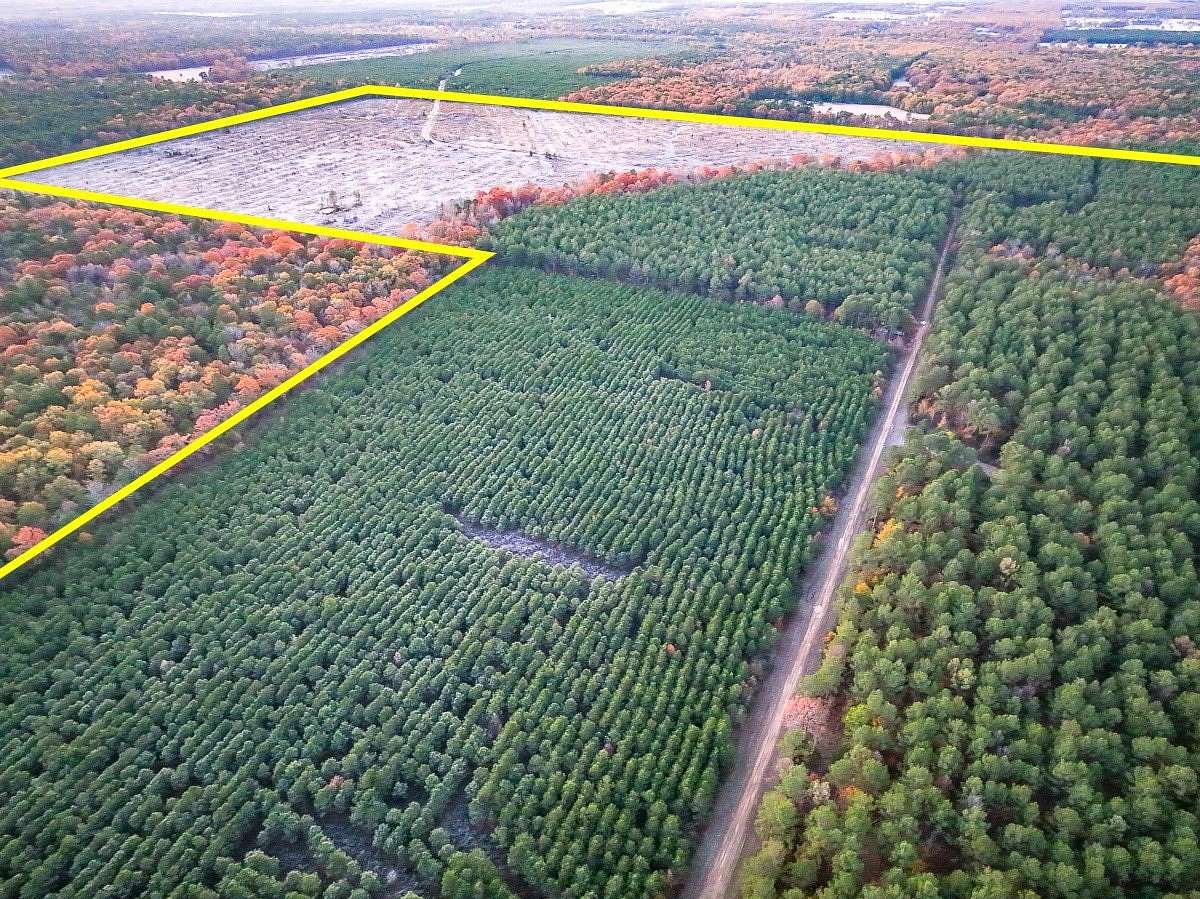 211 Acres of Land for Sale in Bagwell, Texas