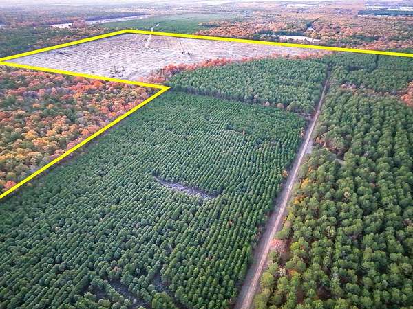 211 Acres of Land for Sale in Bagwell, Texas