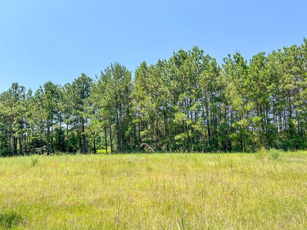 111 Acres of Recreational Land for Sale in Ace, Texas