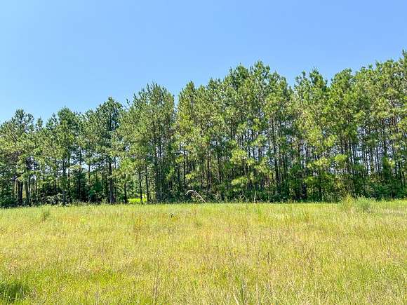 111 Acres of Recreational Land for Sale in Ace, Texas