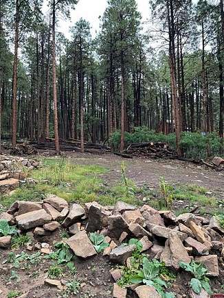 1.01 Acres of Residential Land for Sale in Bayfield, Colorado