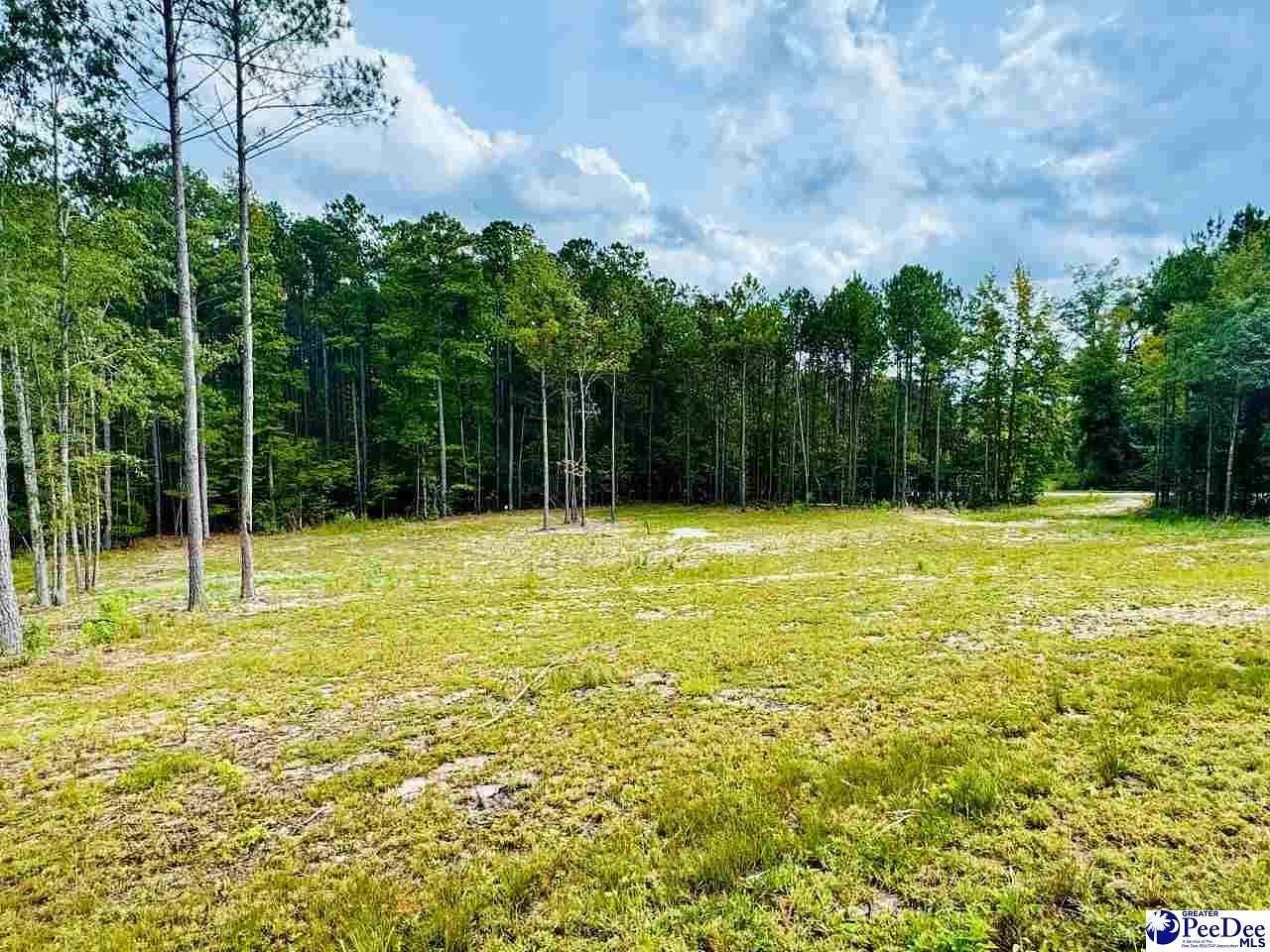 4.4 Acres of Land for Sale in Patrick, South Carolina