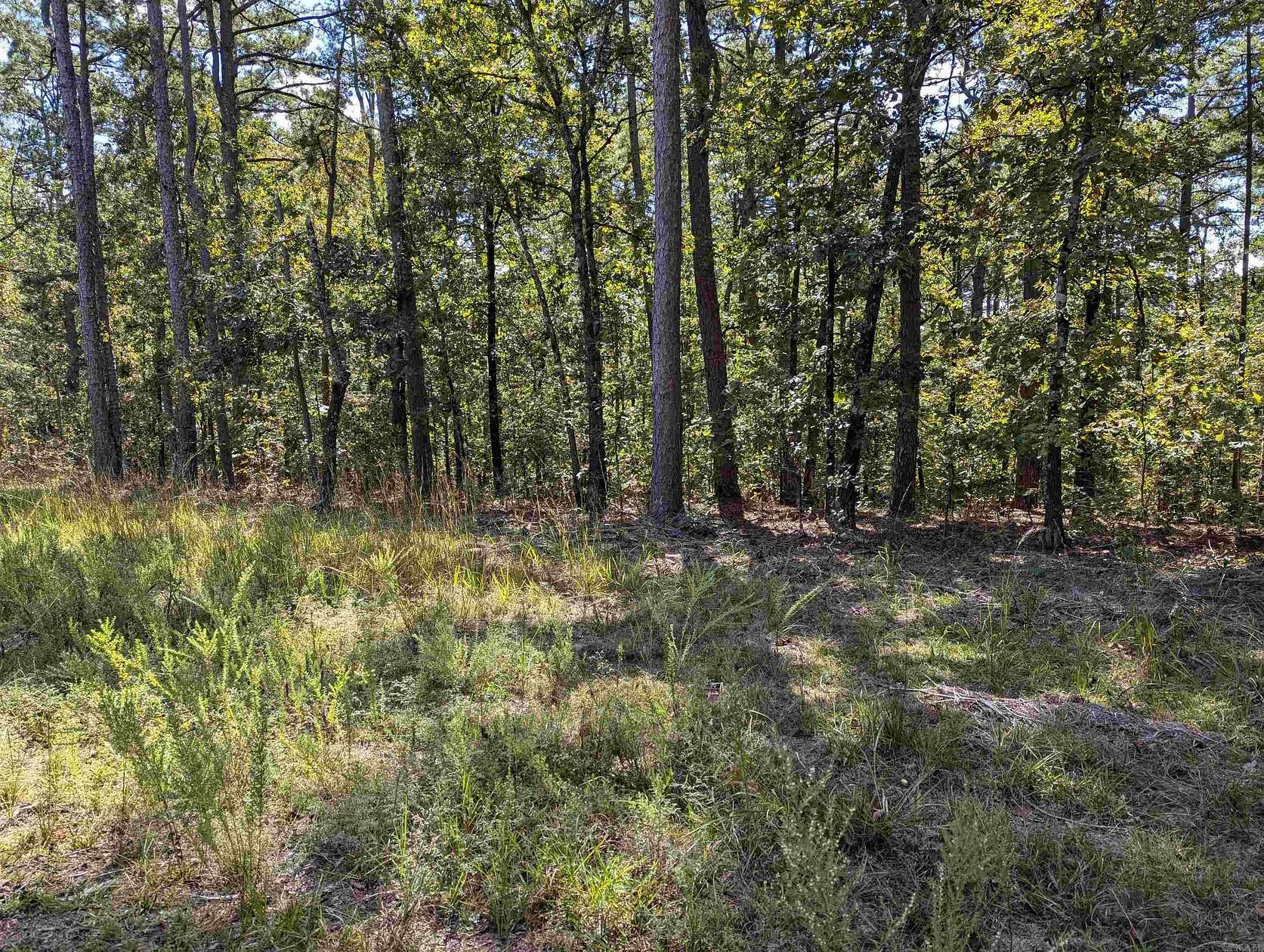 13 Acres of Recreational Land for Sale in Perryville, Arkansas