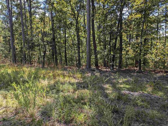 13 Acres of Recreational Land for Sale in Perryville, Arkansas