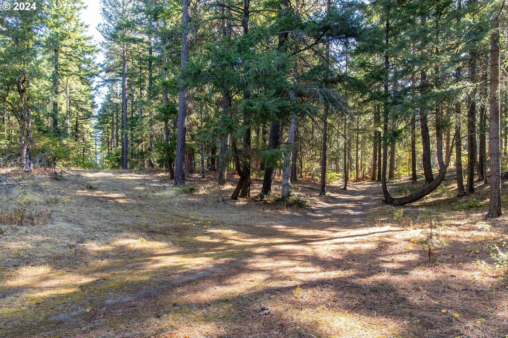 5.01 Acres of Land for Sale in Mosier, Oregon