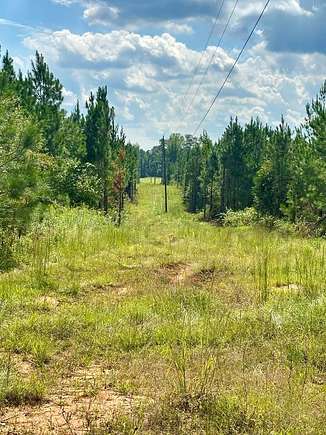 221 Acres of Recreational Land for Sale in Louisville, Mississippi