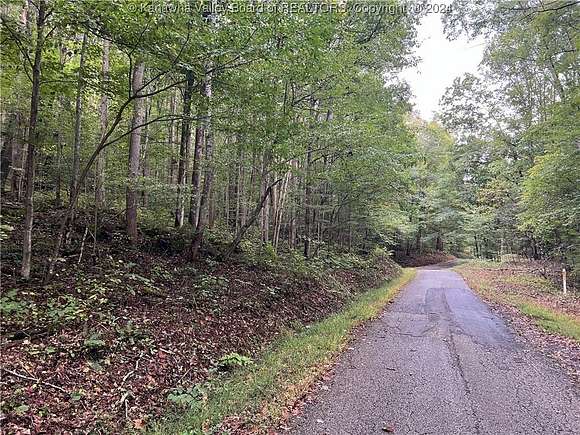 10 Acres of Land for Sale in Clendenin, West Virginia