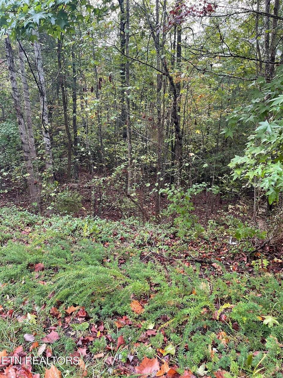 1.5 Acres of Residential Land for Sale in Walland, Tennessee