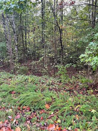 1.5 Acres of Residential Land for Sale in Walland, Tennessee