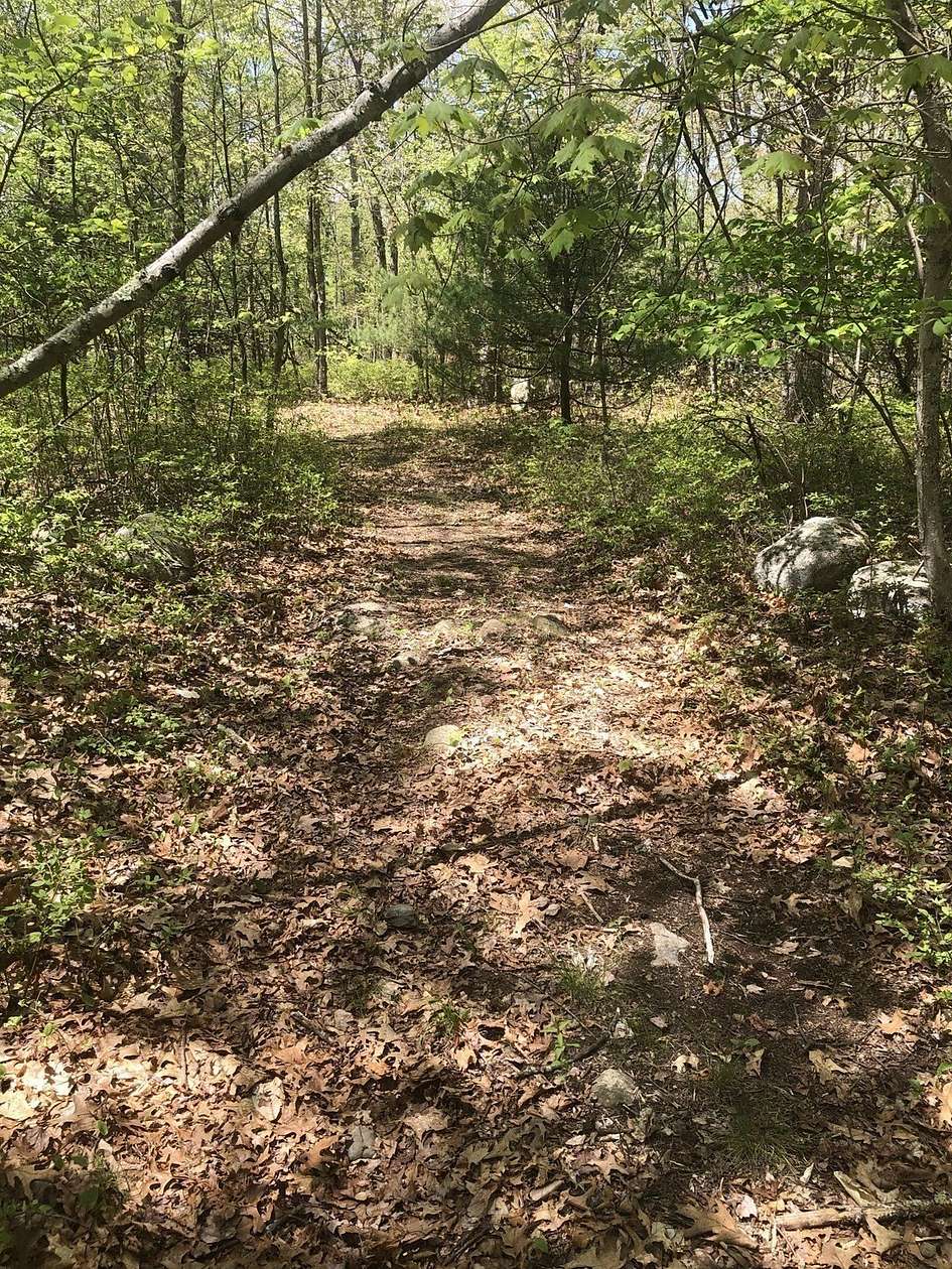 27.7 Acres of Land for Sale in Mansfield, Massachusetts