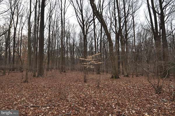 7.82 Acres of Residential Land for Sale in Burlington, New Jersey