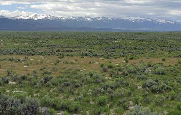 4.35 Acres of Residential Land for Sale in Wells, Nevada