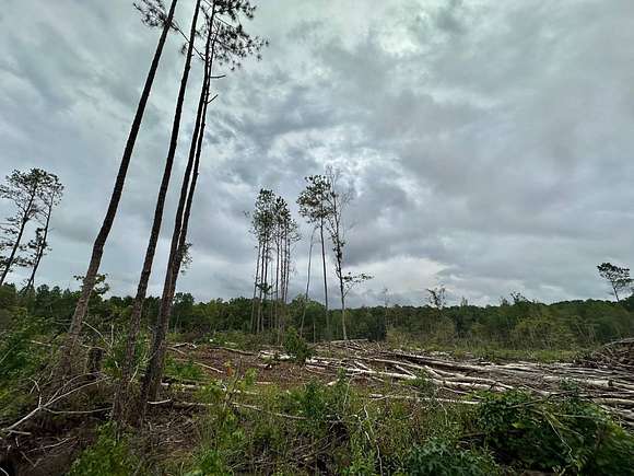 17 Acres of Land for Sale in Ethel, Mississippi