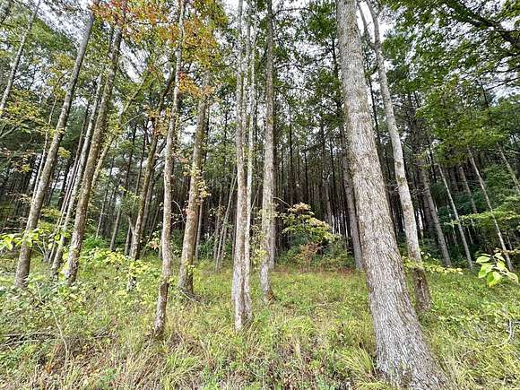 8 Acres of Residential Land for Sale in Ethel, Mississippi - LandSearch