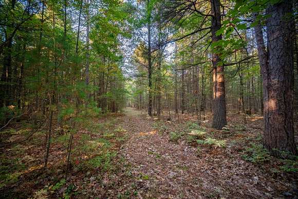 20 Acres of Recreational Land for Sale in Manistee, Michigan