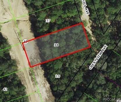 0.32 Acres of Residential Land for Sale in Inverness, Florida