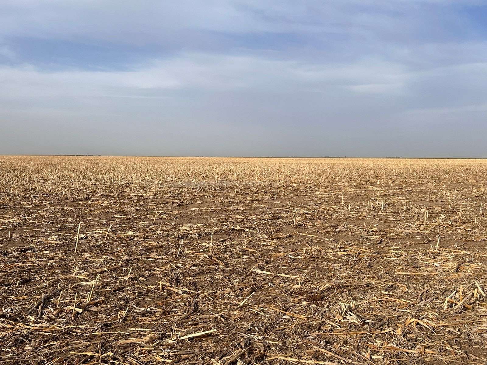 140.73 Acres of Agricultural Land for Sale in Bird City, Kansas