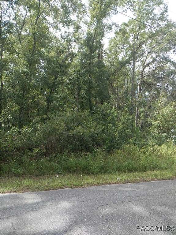 0.28 Acres of Residential Land for Sale in Inverness, Florida