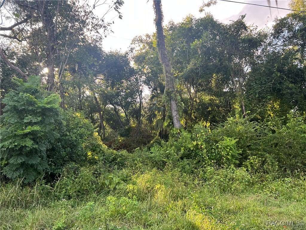 0.22 Acres of Residential Land for Sale in Hernando, Florida