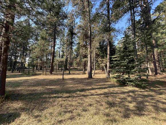 1.67 Acres of Residential Land for Sale in Nemo, South Dakota