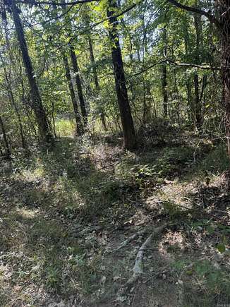 10 Acres of Residential Land for Sale in Jonesboro, Arkansas