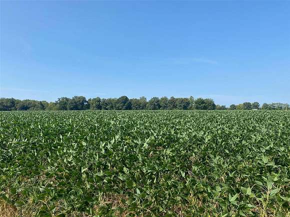 101.72 Acres of Recreational Land & Farm for Sale in Coffeen, Illinois