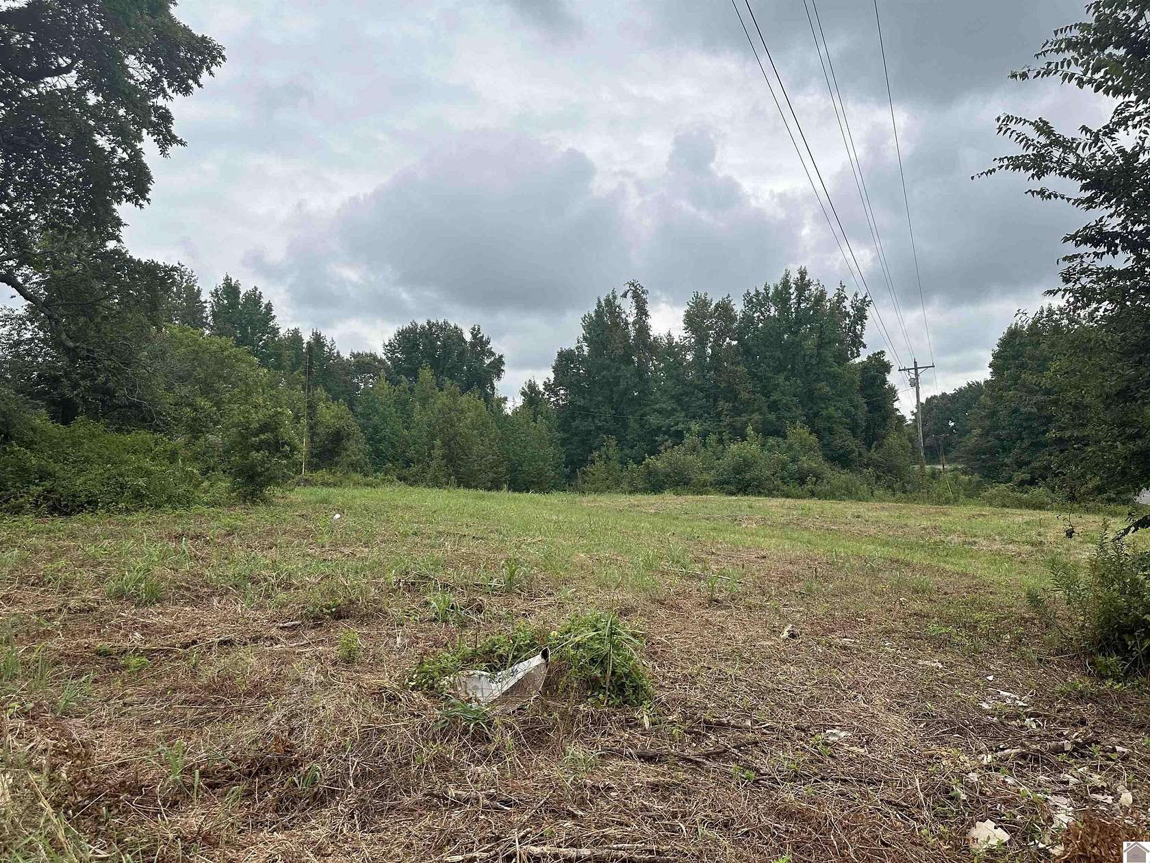 2 Acres of Residential Land for Auction in Wickliffe, Kentucky