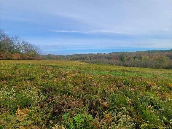 38.66 Acres of Land for Sale in Fallsburg, New York