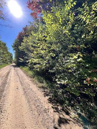 10.15 Acres of Recreational Land for Sale in Nisula, Michigan