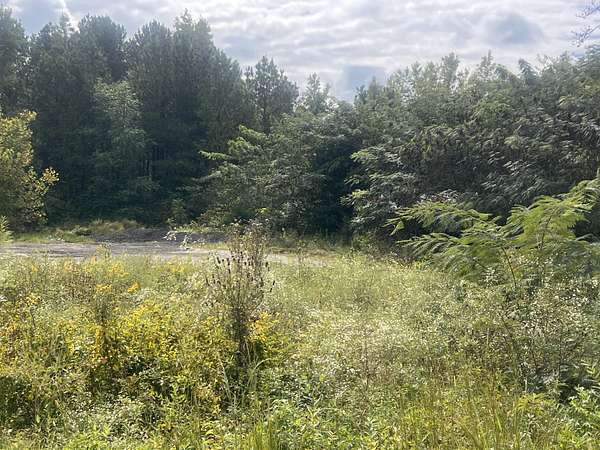 16 Acres of Land for Sale in Valley Head, Alabama