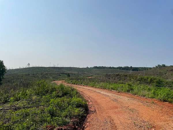 112 Acres of Recreational Land for Sale in Goodwater, Alabama