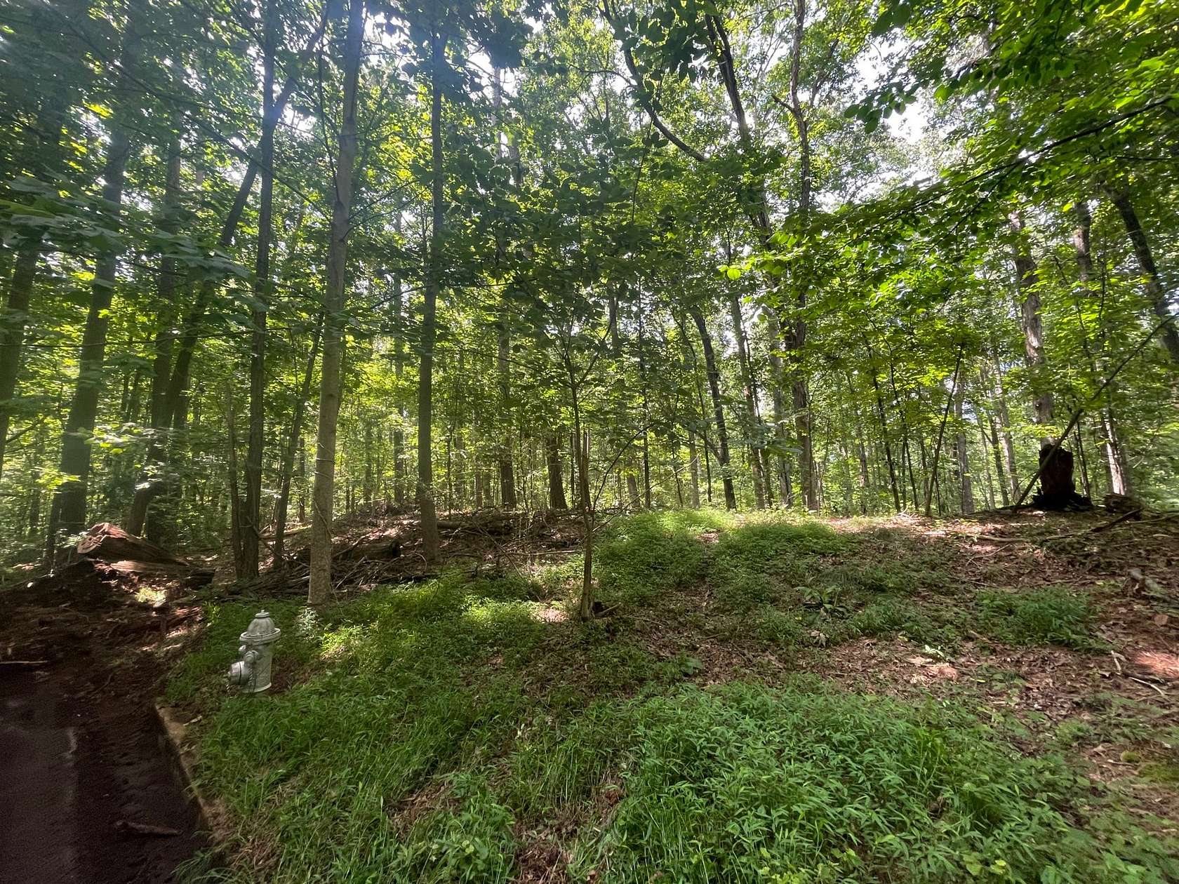 19.7 Acres of Mixed-Use Land for Sale in South Fulton, Georgia