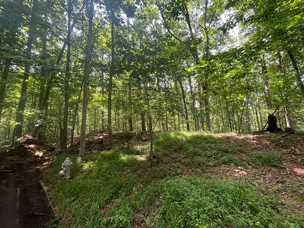 19.7 Acres of Mixed-Use Land for Sale in South Fulton, Georgia