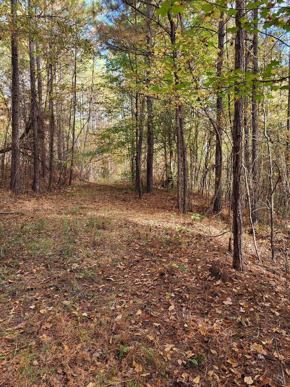 22.7 Acres of Recreational Land for Sale in Alpine, Alabama