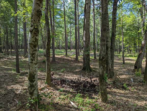 5 Acres of Residential Land for Sale in Eclectic, Alabama