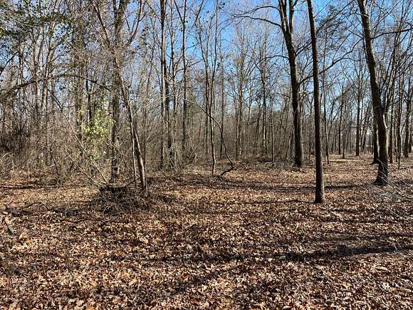 90 Acres of Recreational Land for Sale in Martin, Georgia