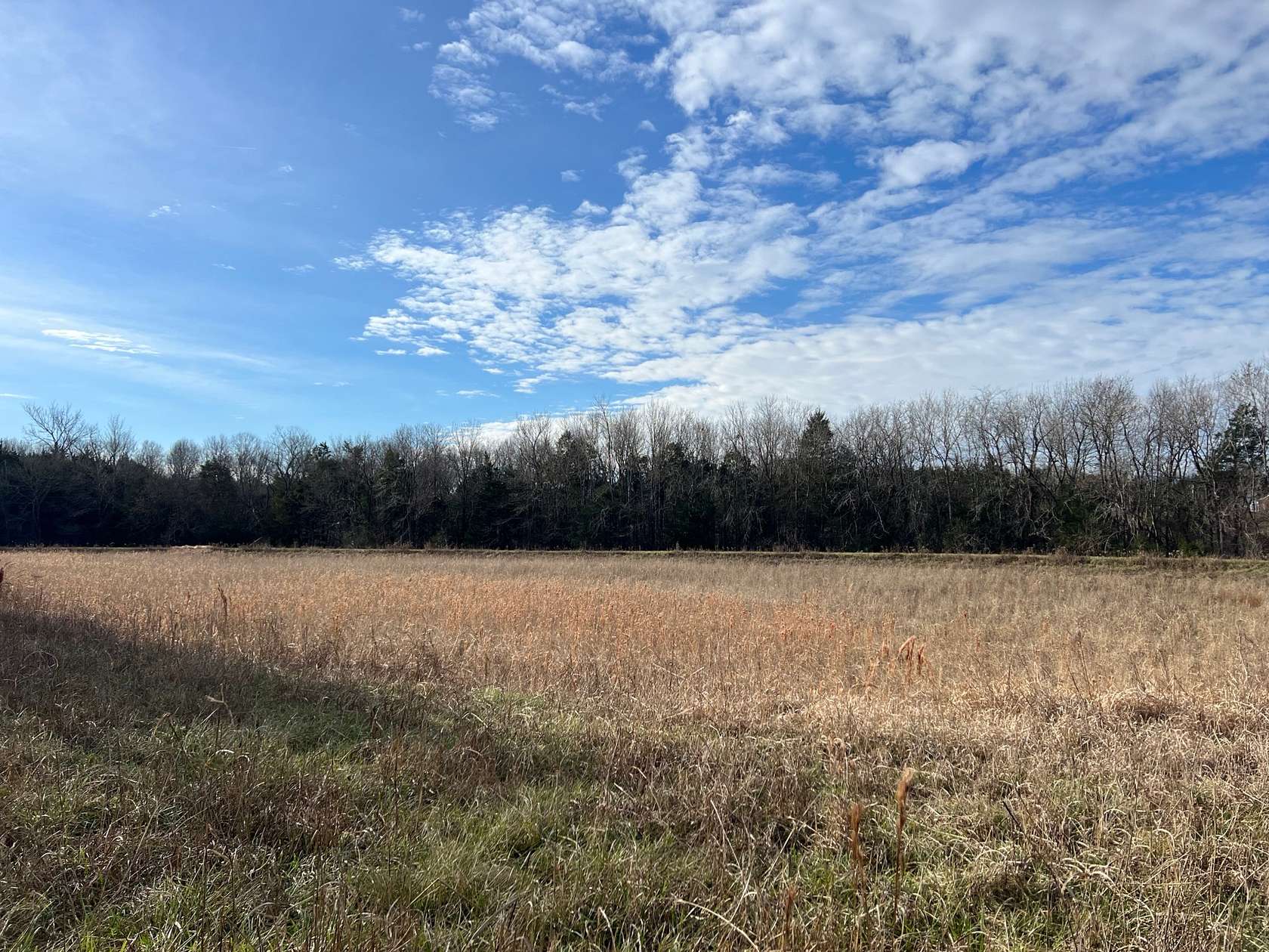 75 Acres of Recreational Land for Sale in Uniontown, Alabama