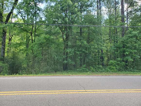 17 Acres of Land for Sale in Columbiana, Alabama