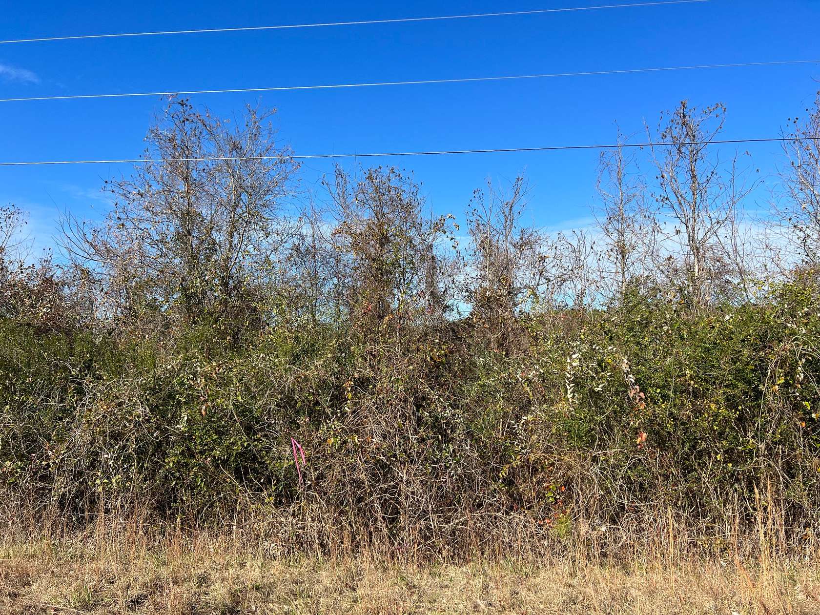 23 Acres of Recreational Land for Sale in Sawyerville, Alabama