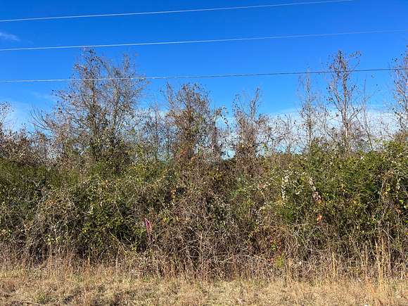 23 Acres of Recreational Land for Sale in Sawyerville, Alabama