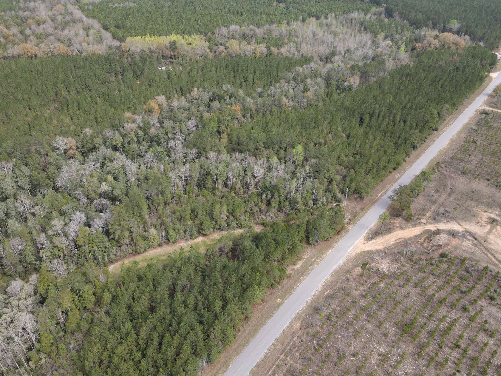 145 Acres of Recreational Land for Sale in Flomaton, Alabama