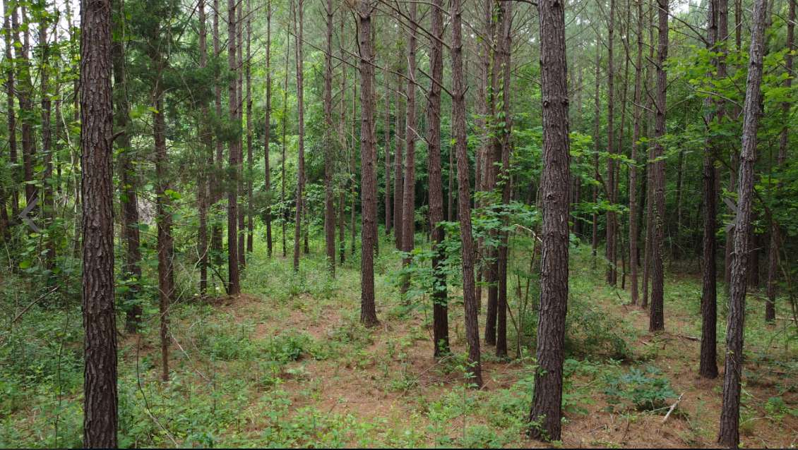 6.7 Acres of Residential Land for Sale in Waverly, Alabama