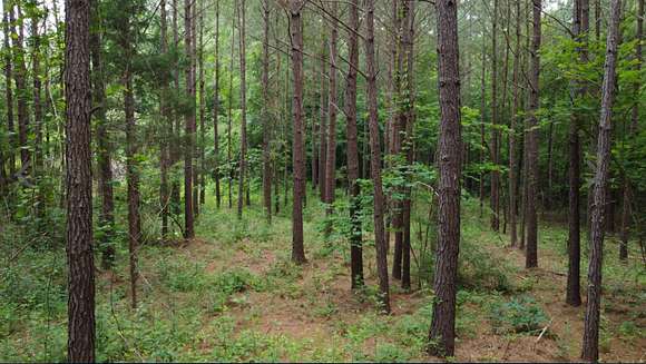 6.7 Acres of Residential Land for Sale in Waverly, Alabama