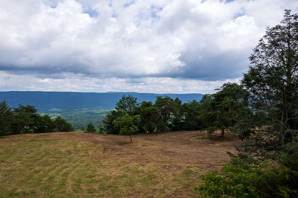 1.1 Acres of Residential Land for Sale in Trenton, Georgia