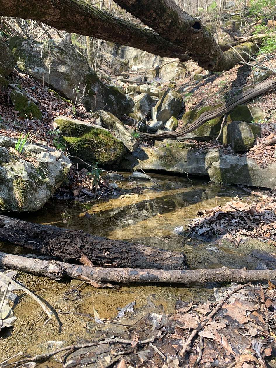 37.24 Acres of Recreational Land for Sale in Flintstone, Georgia