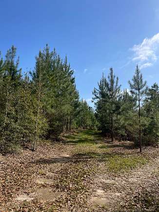 57 Acres of Recreational Land for Sale in Andalusia, Alabama